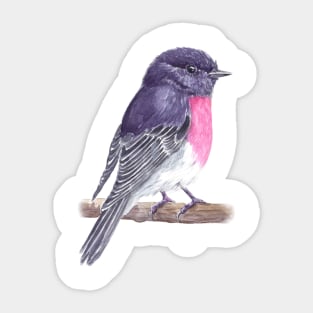 Robin Sticker